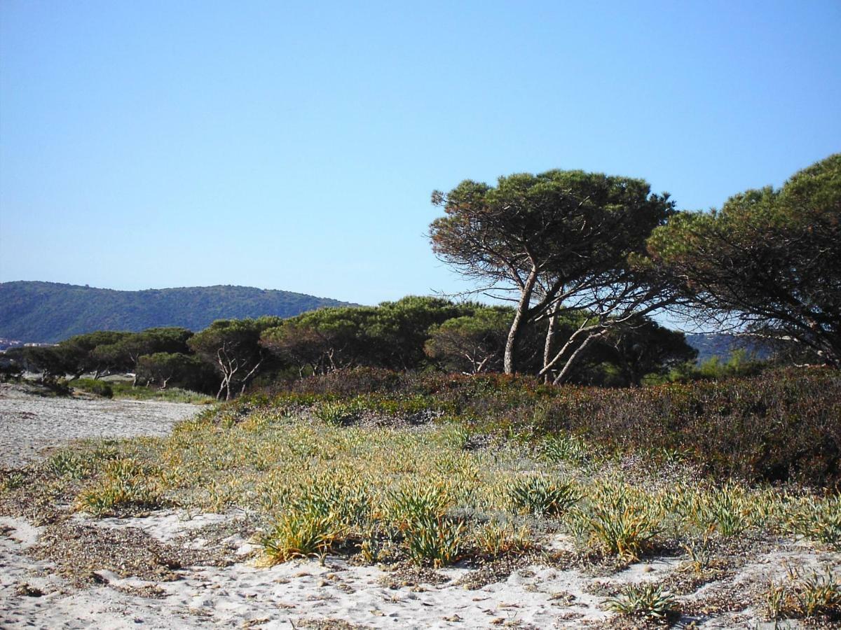 La Cuppulata Daire Budoni Dış mekan fotoğraf