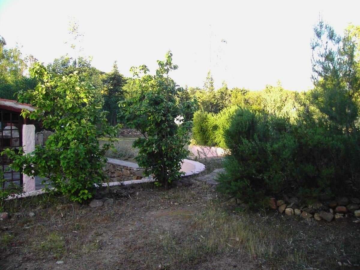 La Cuppulata Daire Budoni Dış mekan fotoğraf